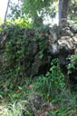 2011-02-22-12h59m45