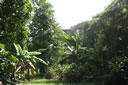 2011-02-22-14h08m58