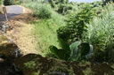 2011-02-22-14h11m48