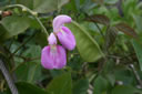 2011-02-22-14h53m37
