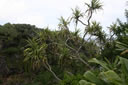 2011-02-22-14h53m47