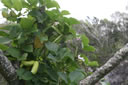 2011-02-22-14h55m05