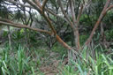 2011-02-22-14h55m37