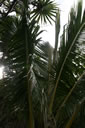 2011-02-22-14h56m03