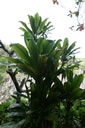 2011-02-22-14h56m54