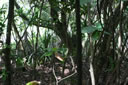 2011-02-22-14h57m49