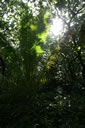2011-02-22-14h58m42