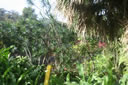 2011-02-22-16h26m46