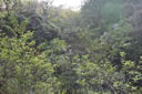 2011-02-22-16h52m44