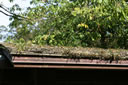 2011-02-22-16h53m07