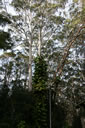 2011-02-22-16h57m35