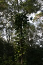 2011-02-22-16h57m41