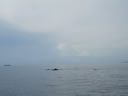 2011-02-23-13h02m51