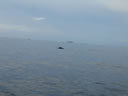 2011-02-23-13h04m13
