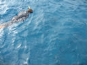 2011-02-24-11h09m49