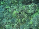 2011-02-24-11h51m49