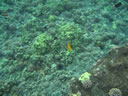 2011-02-24-11h51m56