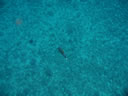 2011-02-24-12h13m45