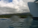 2011-02-24-13h52m06