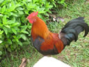 2011-02-16-01h49m53 Jk