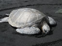 2011-02-20-01h24m10 Jk