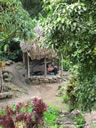 2011-02-21-05h05m46 Jk