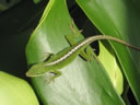 2011-02-21-05h41m47 Jk-
