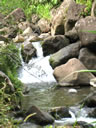 2011-02-21-05h51m46 Jk