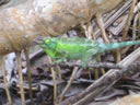 2011-02-21-05h54m21 Jk
