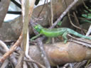 2011-02-21-05h54m54 Jk