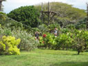 2011-02-22-03h54m38 Jk