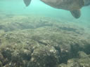 2011-02-19-15h59m47