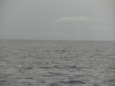 2011-02-24-08h29m08