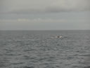 2011-02-24-08h29m33
