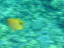 2011-02-24-09h45m48