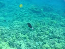2011-02-24-09h50m51