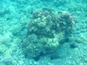 2011-02-24-09h51m16