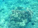 2011-02-24-09h51m32