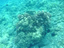 2011-02-24-09h51m38