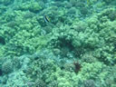 2011-02-24-09h52m36