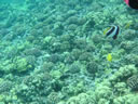 2011-02-24-09h52m43