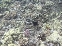 2011-02-24-09h52m54