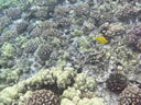 2011-02-24-09h53m05