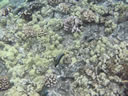 2011-02-24-09h53m41