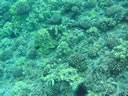 2011-02-24-09h58m33