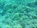 2011-02-24-09h58m45