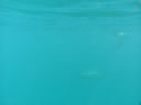 2011-02-24-11h05m58
