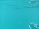 2011-02-24-11h06m09