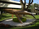 2011-02-25-09h24m55