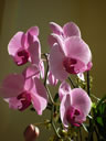2011-02-25-09h25m53
